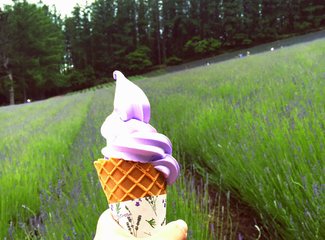 人在美途民族风旅拍,人在美途