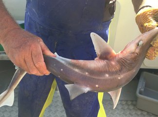 新西兰房车15天攻略,房车旅行记新西兰