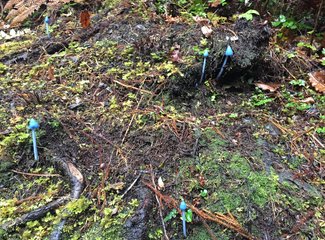 新西兰房车15天攻略,房车旅行记新西兰