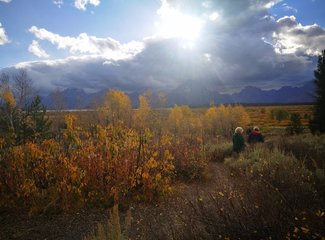 十一20日美西纵横驰骋4200m（黄石-LV-优胜美地-SF-一号公路-SD-LA