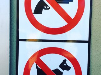 南非彩虹之旅由来,南非彩虹之旅