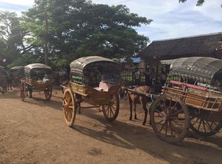 愿上苍保佑吃完饭的人民——缅甸8日传统玩法