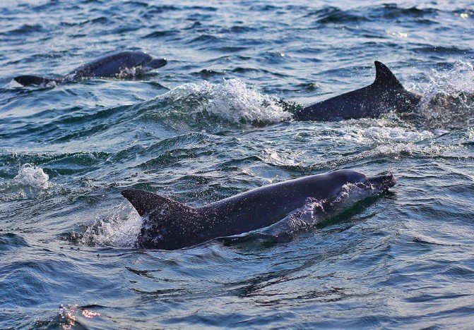 日本九州旅行游记,7天物语