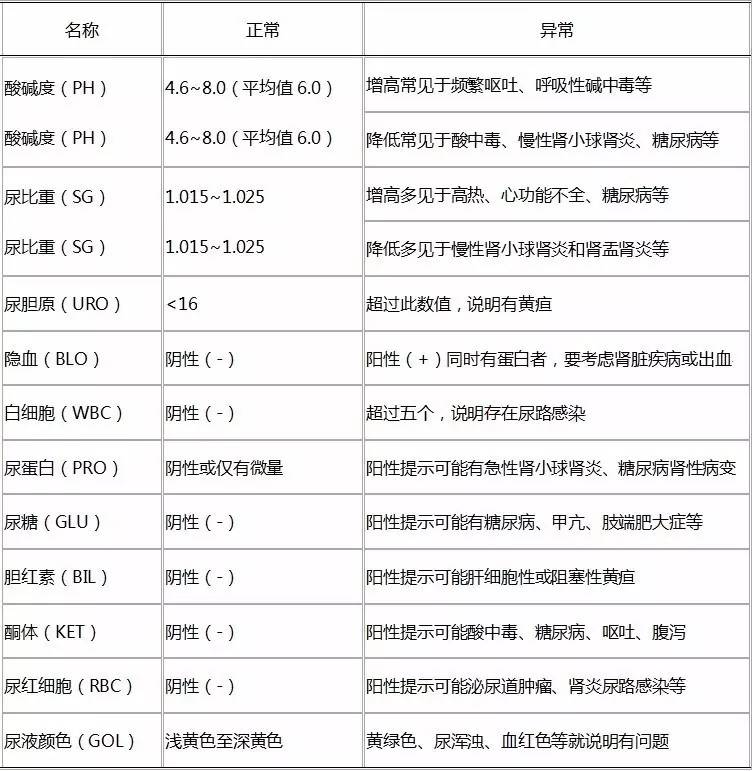 尿常规一张图看懂,教你看懂尿常规抖音短视频