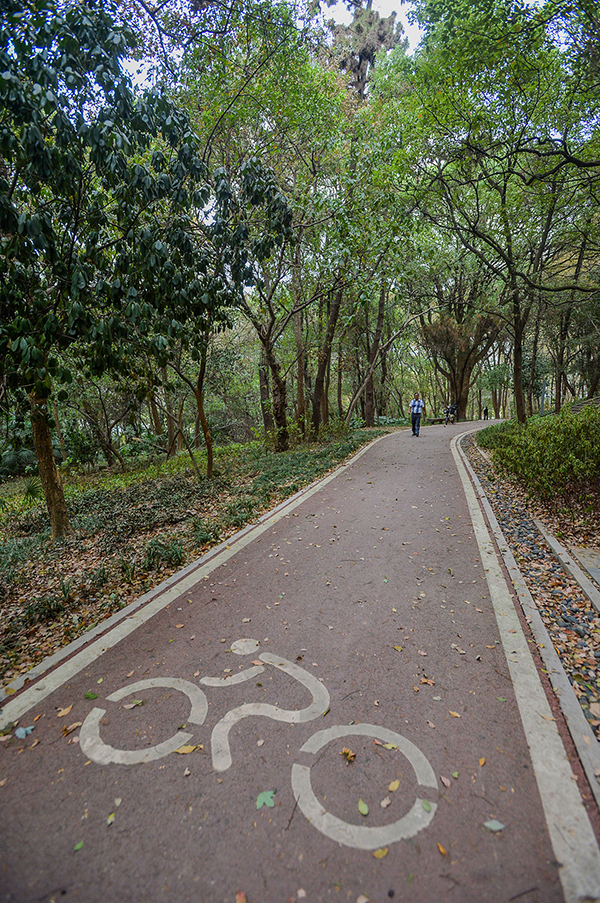 东湖绿道怎么玩最方便,东湖游玩攻略从绿道开始