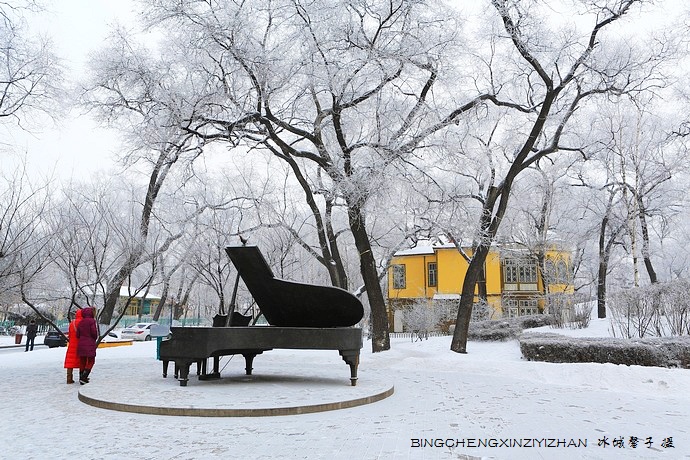 哈尔滨太阳岛的冬天照片,哈尔滨太阳岛的冬天有多美
