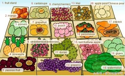 英语生活词汇图,36张图记住英语中所有生活用词