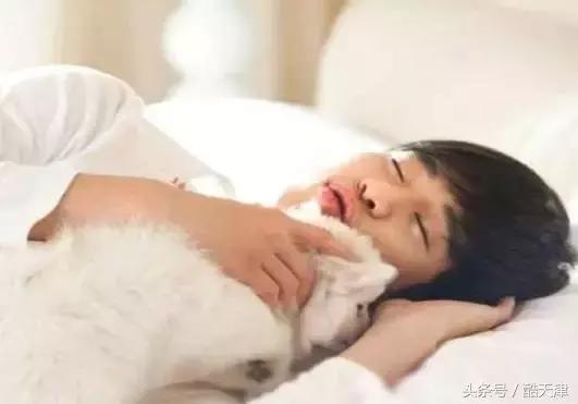 怎样知道家里的狗狗是串串 (怎么知道我家狗是什么串串)