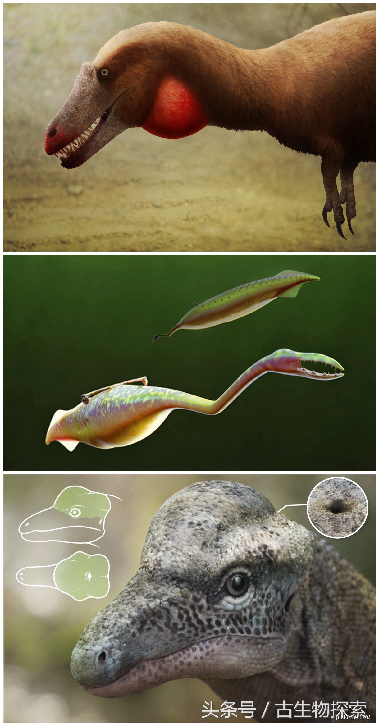 2021年神兽大全,1-8世代神兽盘点