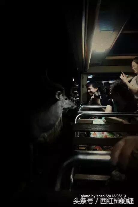 如果你喜欢清迈,泰国如果你爱一个人