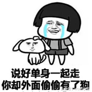 床单幽默笑话,凉席的幽默笑话