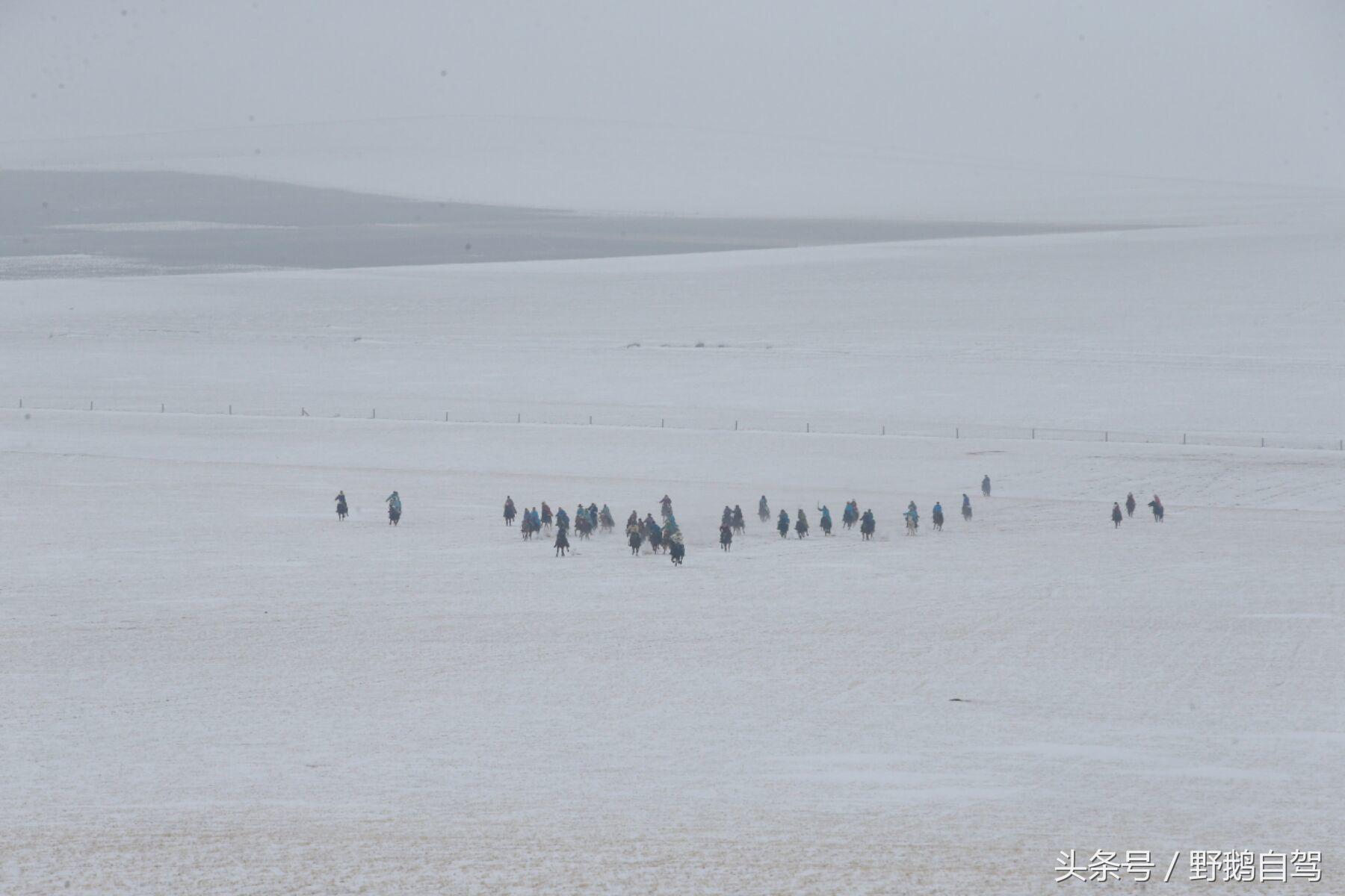 锡林郭勒盟那达慕自驾攻略,锡林郭勒冰雪那达慕完整版