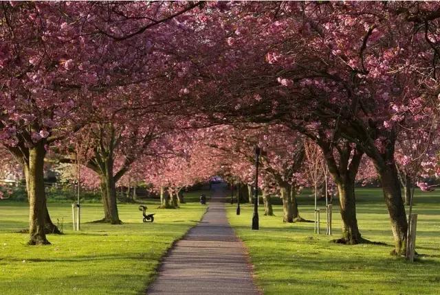 浜氭床寤変环鑸┖瀹樼綉,鎮﹁娉板浗鏃呰