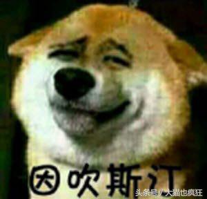 看懂弹幕流行语及缩写,看懂弹幕流行语