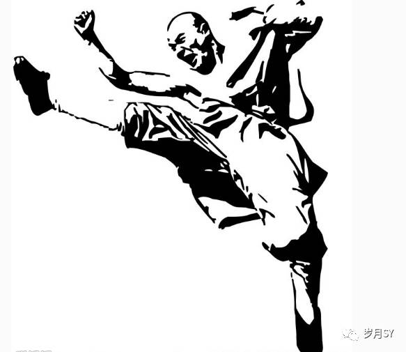 星瑞武术,星瑞太极