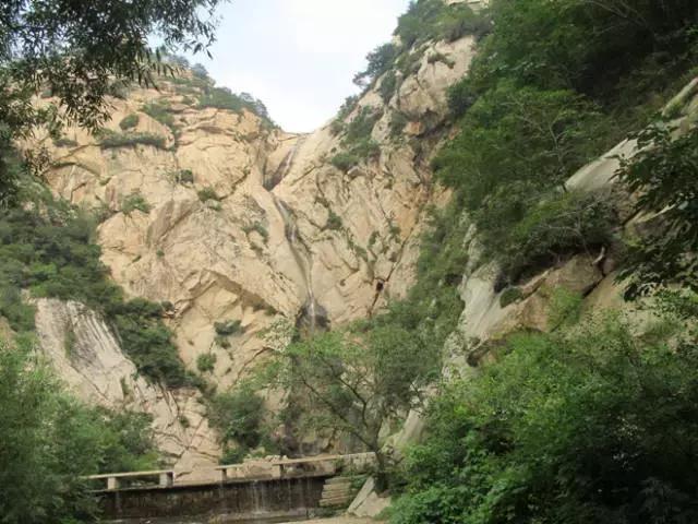 我叫义县,这是我的简历!