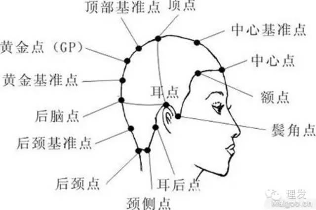 美发基础剪发全套教程视频,美发剪裁基础知识理论新手必学