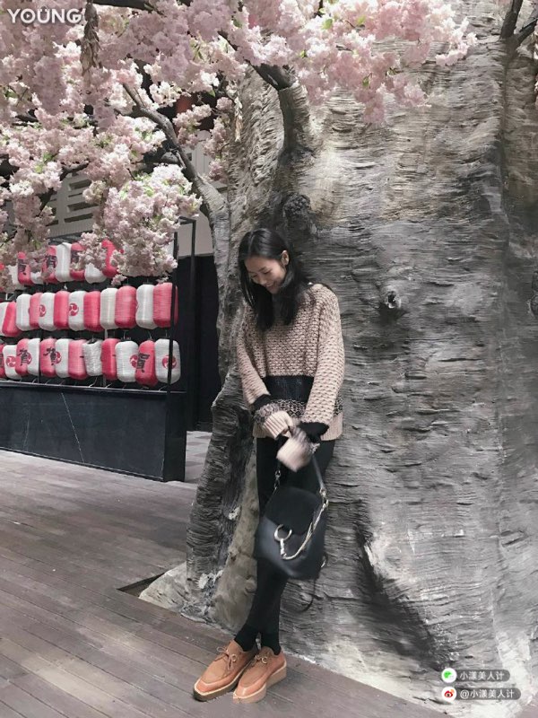 chloe毛衣高圆圆,chloefaye出过全牛皮款的吗