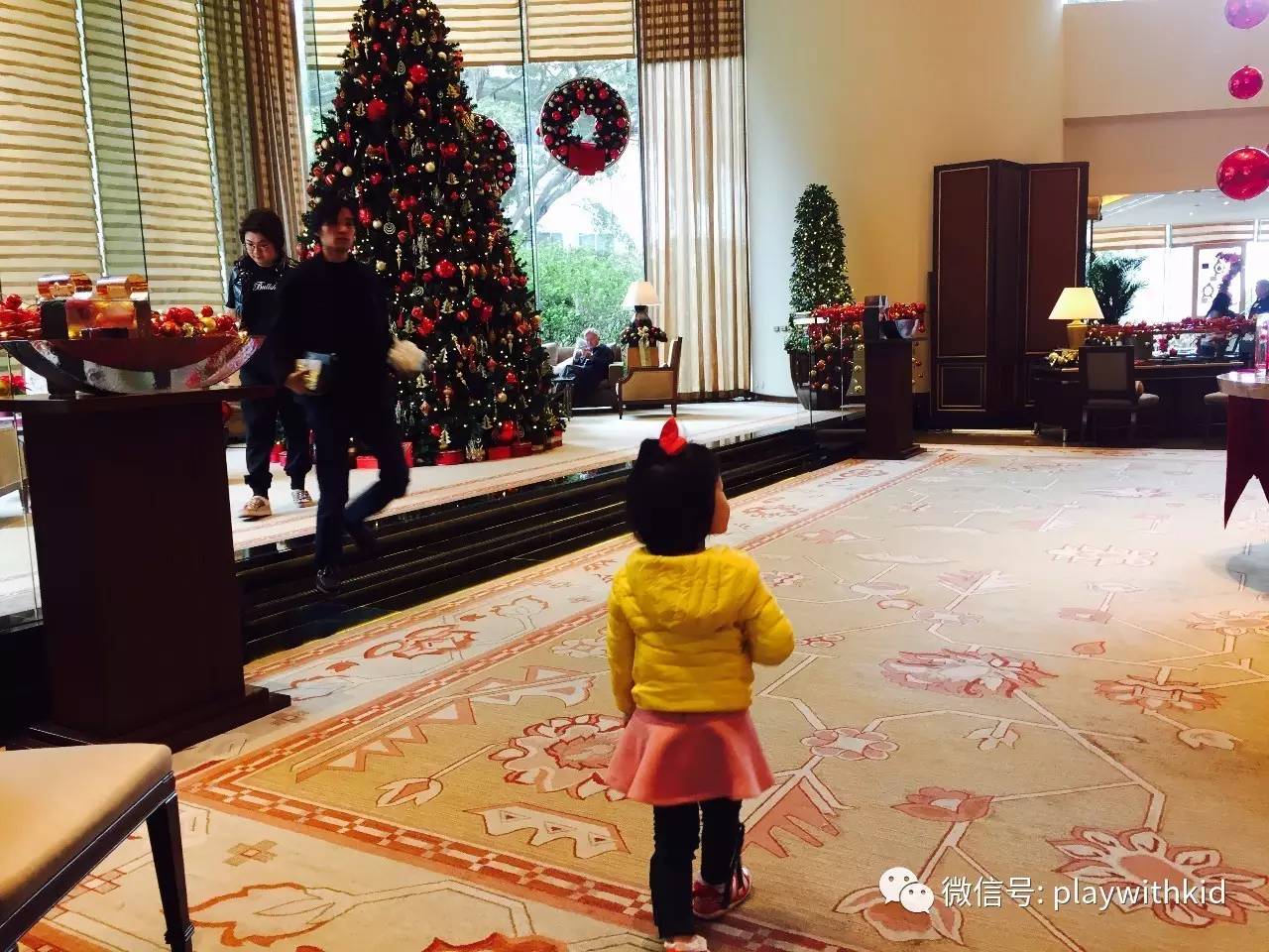 香港旅游攻略三日游自由行亲子,香港旅游带孩子5天自由行