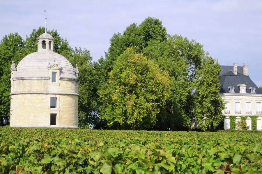 最好的拉图酒庄,拉图庄园大师干红葡萄酒