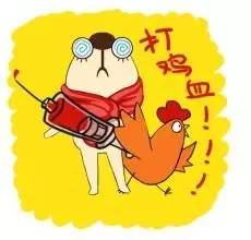 盘点辣眼睛的迷惑行为,鸡年限定和猪年限定