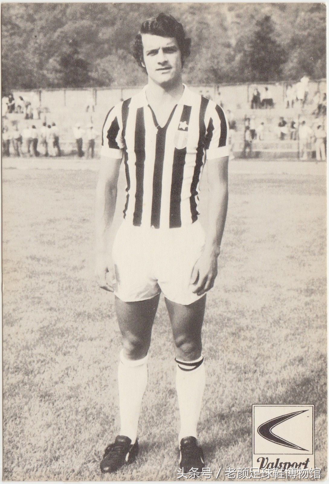 what足球,what鞋是什么牌子