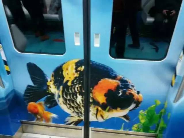 记者体验地铁,福州地铁开通运营