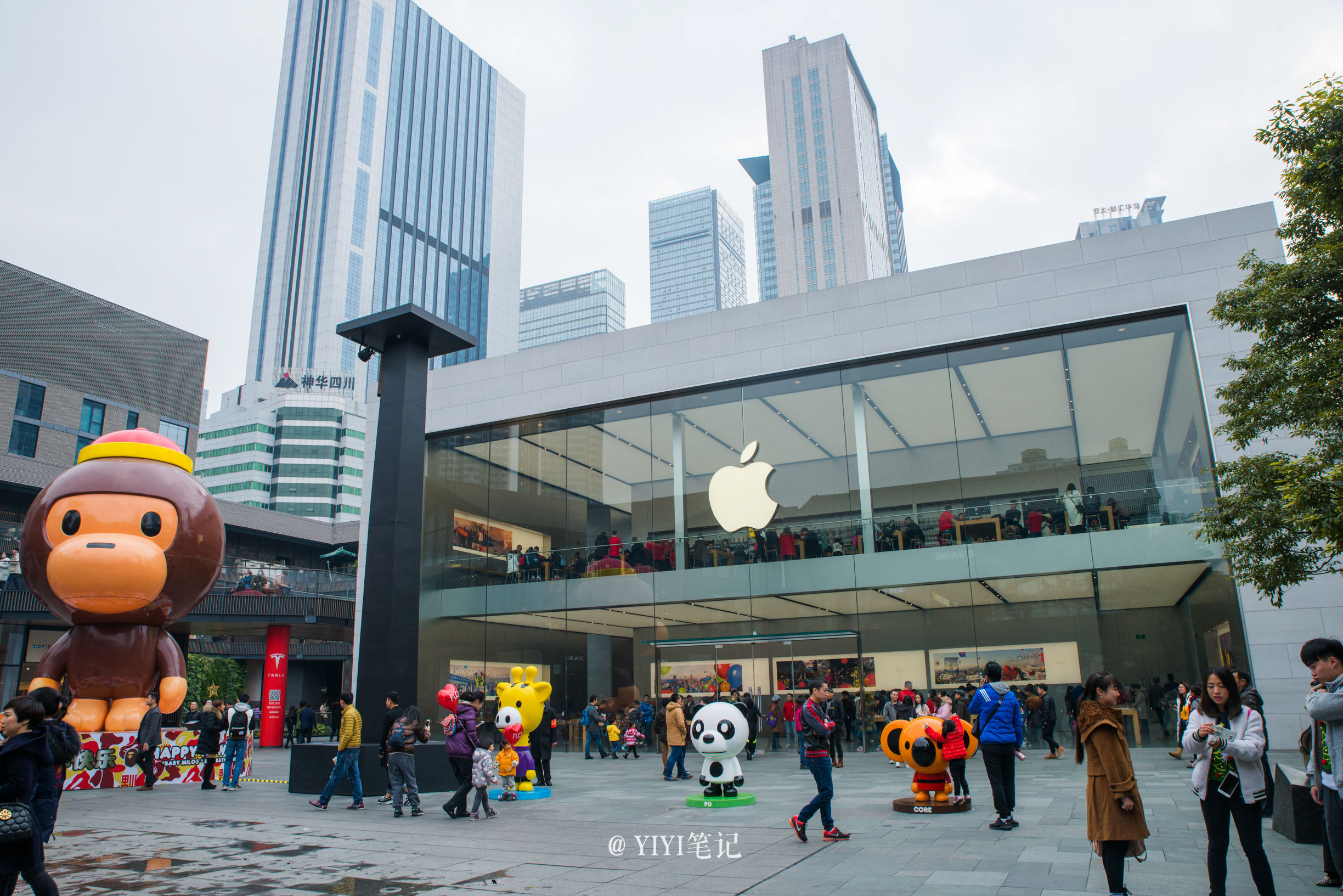 雾霾下成都,雾霾下的成都