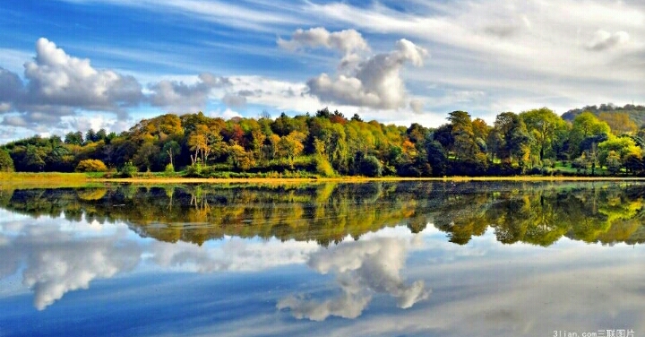 儿童猜谜语大全及答案3-8岁,儿童谜语1-7岁猜植物