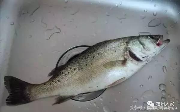 福建十大公认最好吃的菜,福建海鲜美食排行榜前十名