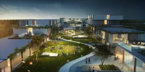 足球泰达最新消息,足球泰达新消息