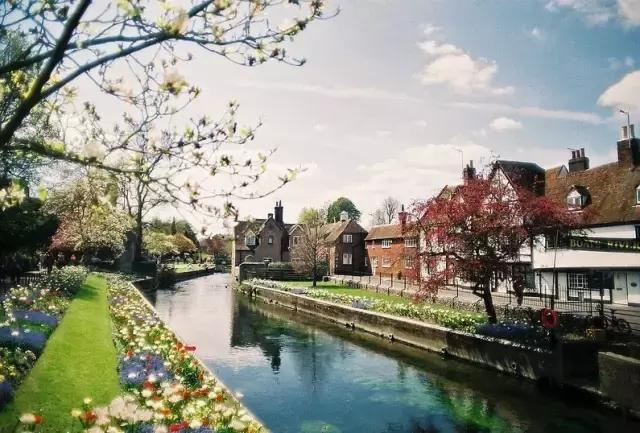 鎮﹁娉板浗鏃呰,浜氭床寤変环鑸┖瀹樼綉