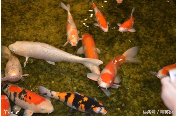 哪家免税店好,国内靠谱的免税店