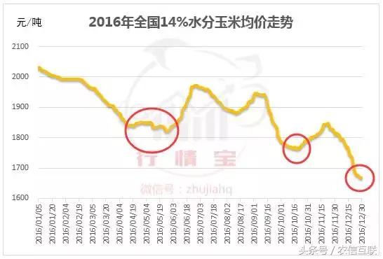 未来15天玉米行情云南玉米价格,山西玉米价格最新行情多少钱一斤