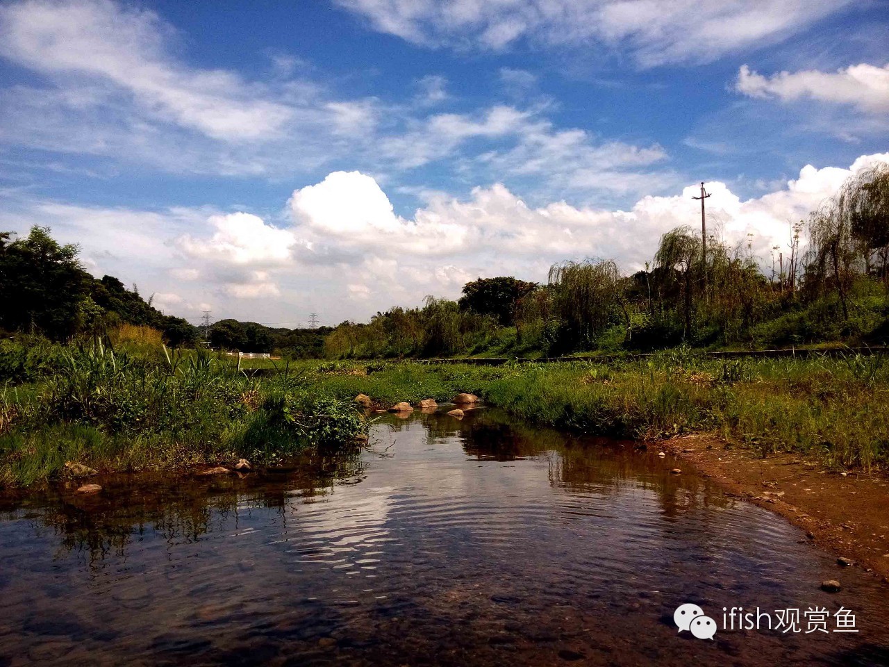 大圣年,大圣过年放鞭炮