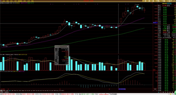 高级操盘手必备技巧,顶级操盘手的10个日常步骤供参考