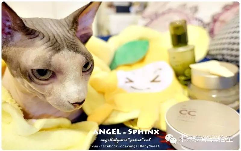 未来美学培训,未来美学修护