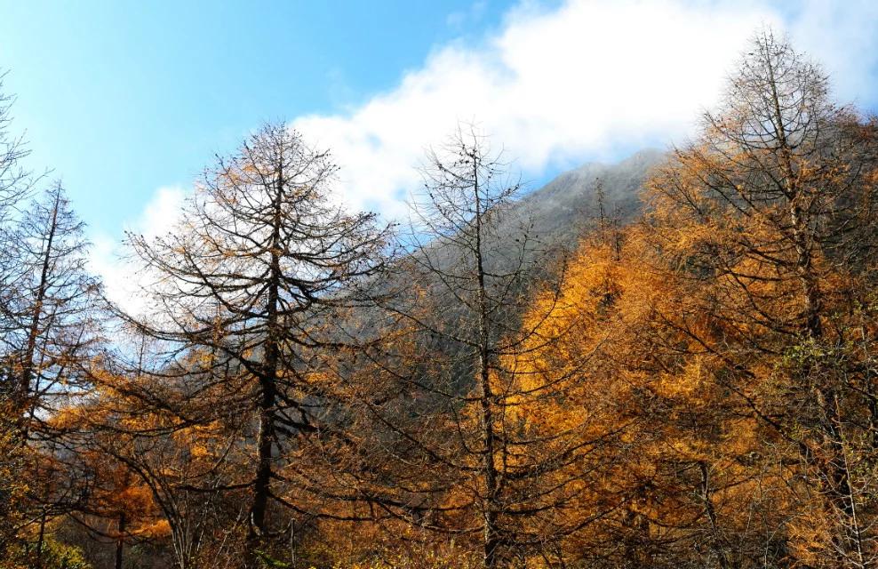 行走在风景里,记录旅游黄龙留下美好回忆