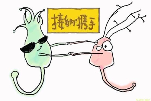 光控大脑,大脑的锁怎么开