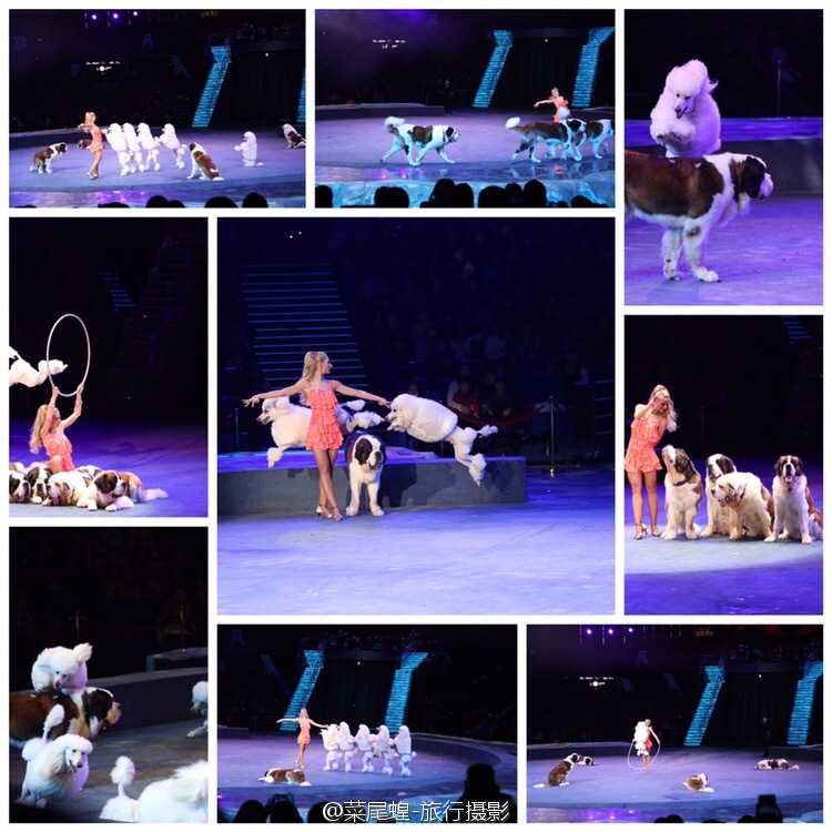 珠海长隆大马戏最佳观看位置,珠海长隆大马戏和长隆秀一样么