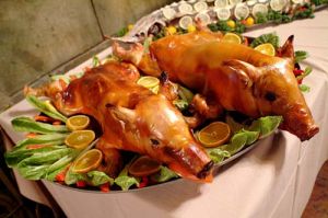 严肃的狮子座,小狮子的真实面目