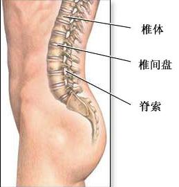 治疗腰椎间盘突出最好的医院,胶原酶溶解术治腰椎间盘突出