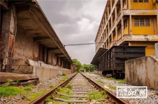 广州最新最美最好玩的景点,广州最值得去玩的景点推荐一下