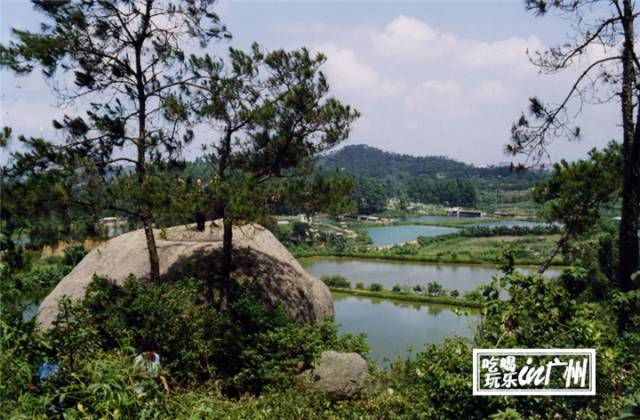 广州最新最美最好玩的景点,广州最值得去玩的景点推荐一下