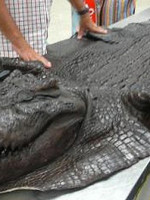 春节去泰国哪里更便宜,泰国必买这10种手信便宜好用