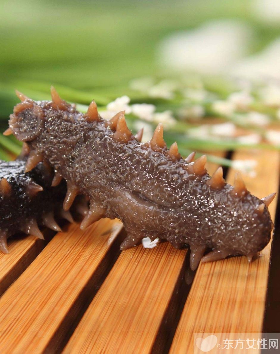 海参和海参原浆的区别和功效,红海参和黑海参的功效区别