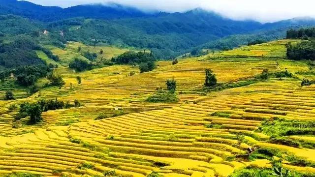 中国十四天旅行攻略 (顺着24节气游遍中国)