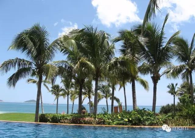 中国十四天旅行攻略 (顺着24节气游遍中国)