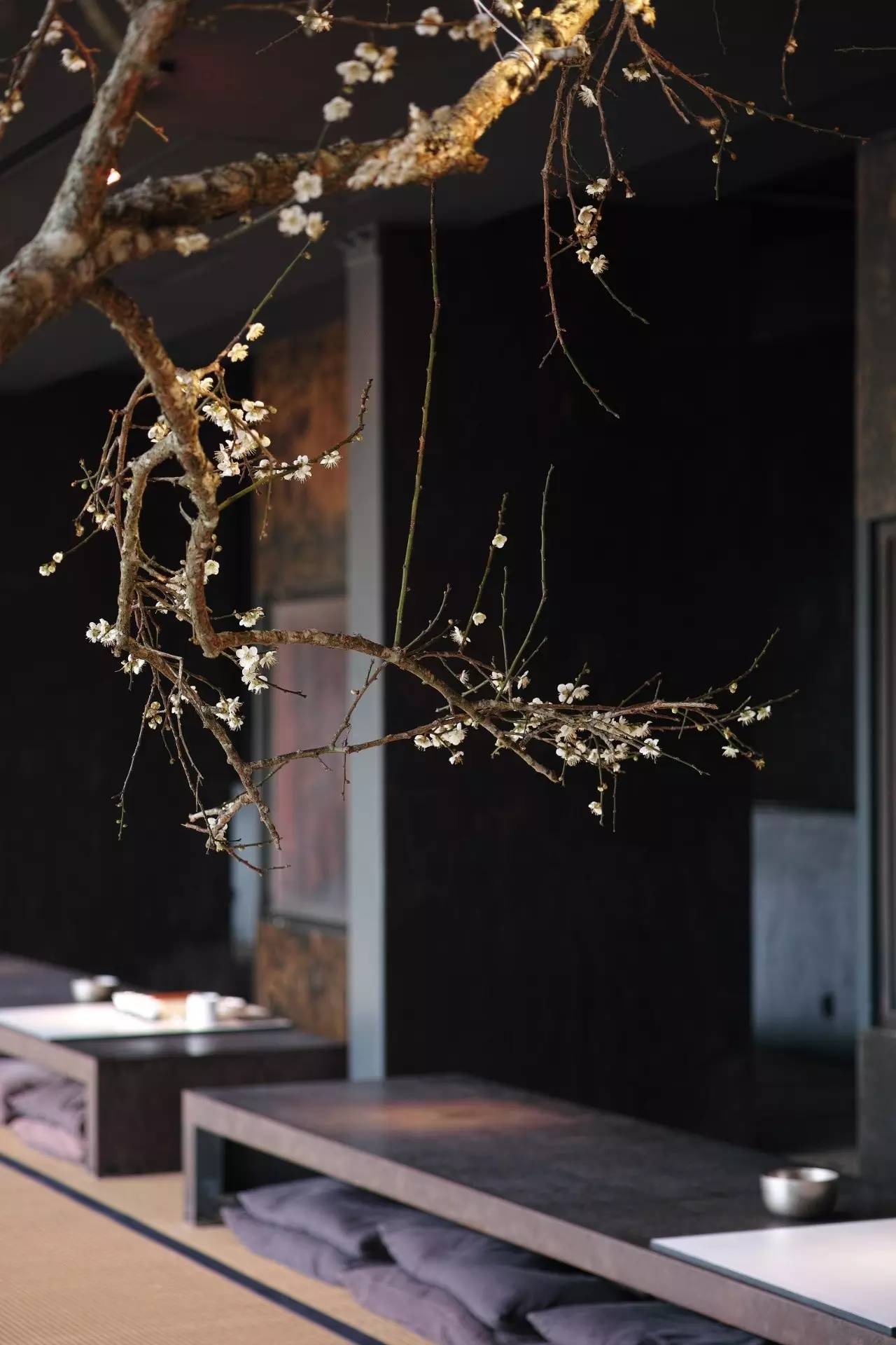 林炳辉埋葬在哪里,林炳辉融入自然