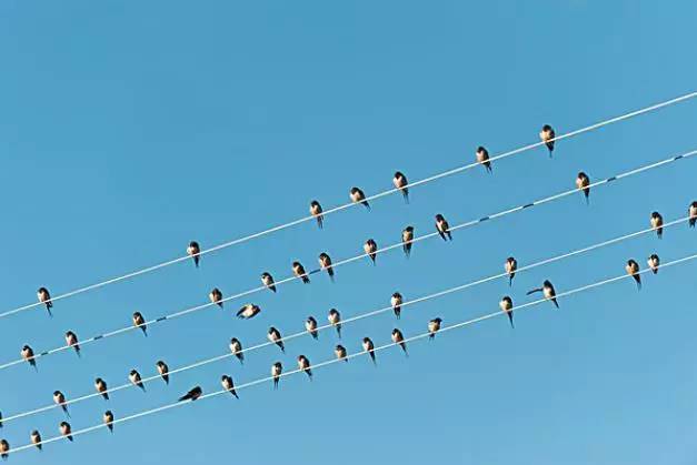 如何学数学几何证明,怎么学习数学查数